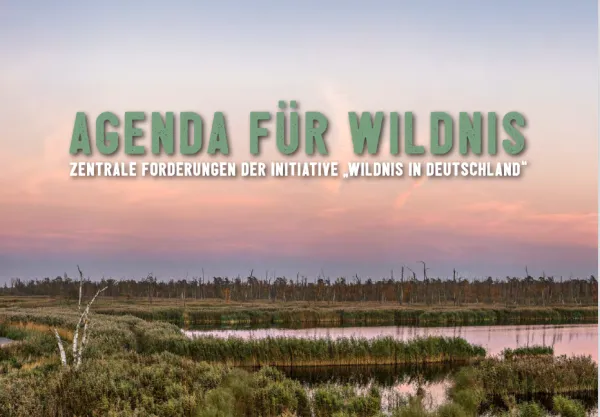 Screenshot_2021-02-24_Agenda-fuer-Wildnis_2020_pdf